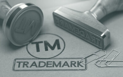 Understanding the 2025 USPTO Trademark Fee Changes